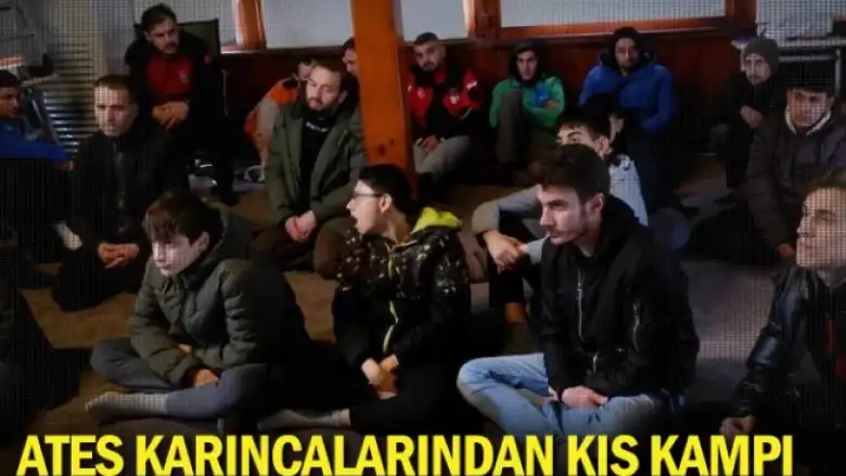 Ateş Karıncalarından Kış Kampı