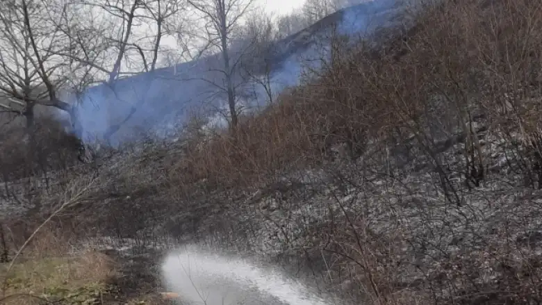 Anız yangını korkuttu