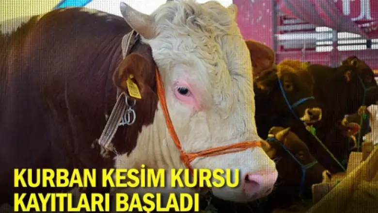 Kurban Kesim Kursu Kayıtları Başladı