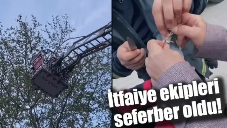 İtfaiye ekipleri seferber oldu!