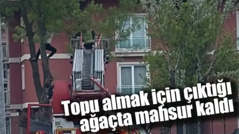 Topu almak için çıktığı ağaçta mahsur kaldı