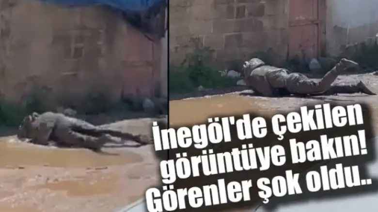 İnegöl'de çekilen görüntüye bakın! Görenler şok oldu..