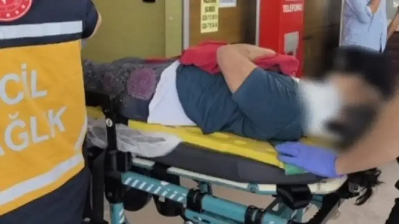 Asma yaprağı toplamak isterken...