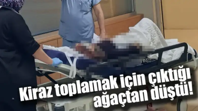 Kiraz toplamak için çıktığı ağaçtan düştü!