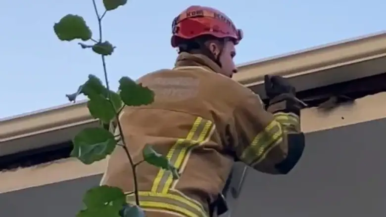 Çatıya sıkışan ebabil kuşunu itfaiye kurtardı