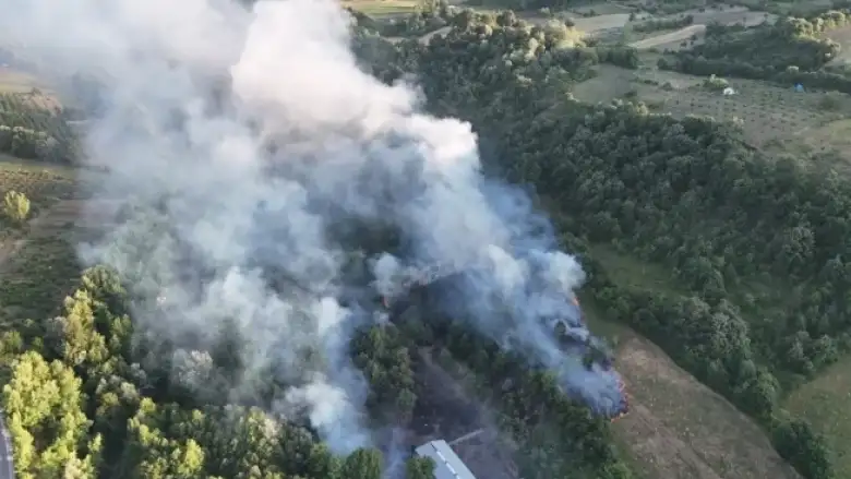 İnegöl'de orman yangını