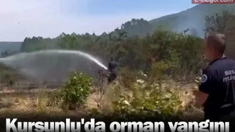 Kurşunlu'da orman yangını