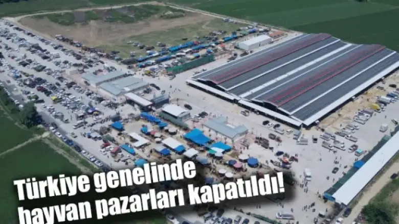 Türkiye genelinde hayvan pazarları kapatıldı!