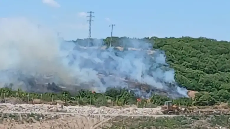 İnegöl'de orman yangını