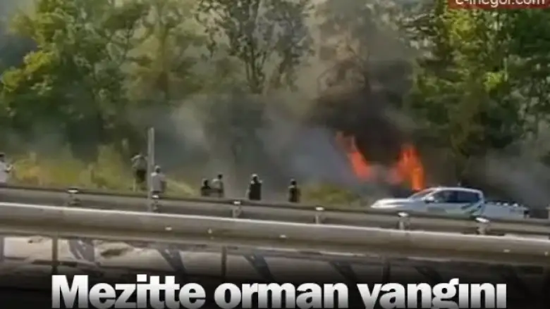 Mezitte orman yangını