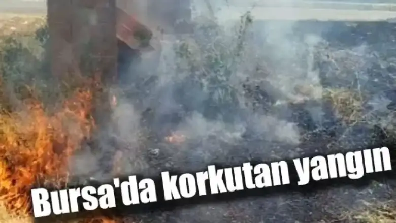 Bursa'da korkutan yangın