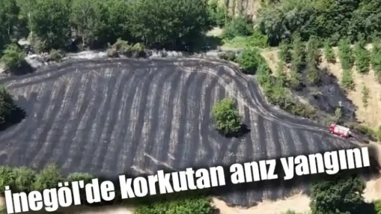 İnegöl'de korkutan anız yangını