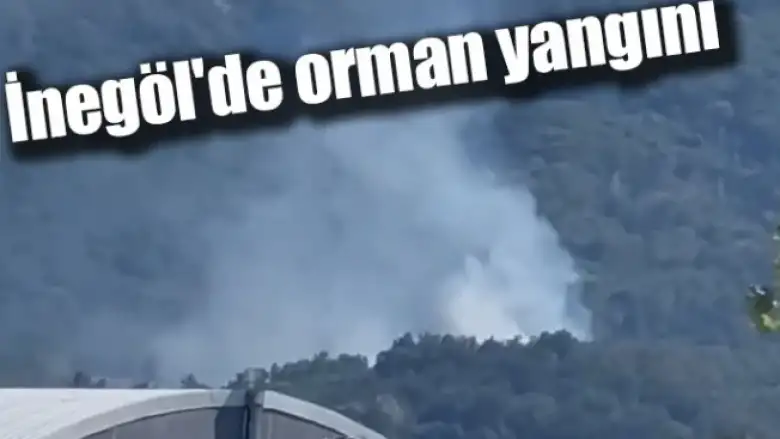 İnegöl'de orman yangını