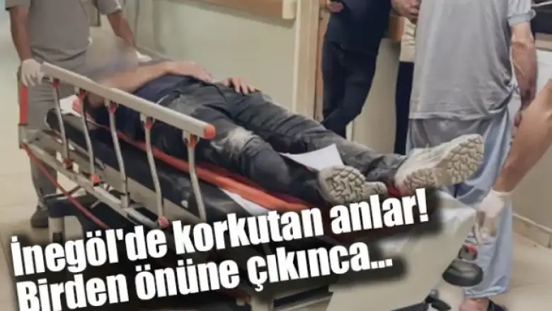 İnegöl'de korkutan anlar! Birden önüne çıkınca...