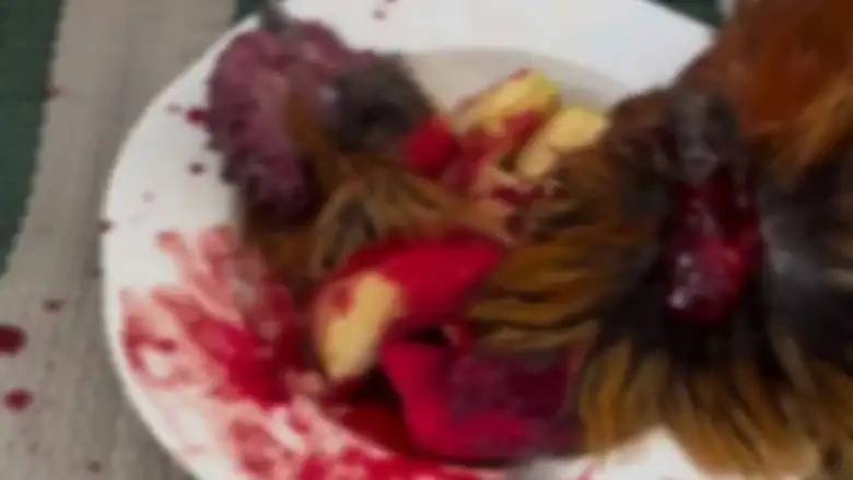 İnegöl'de tepki çeken görüntü!