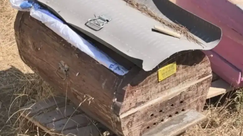 Kara kovan balı her derde deva