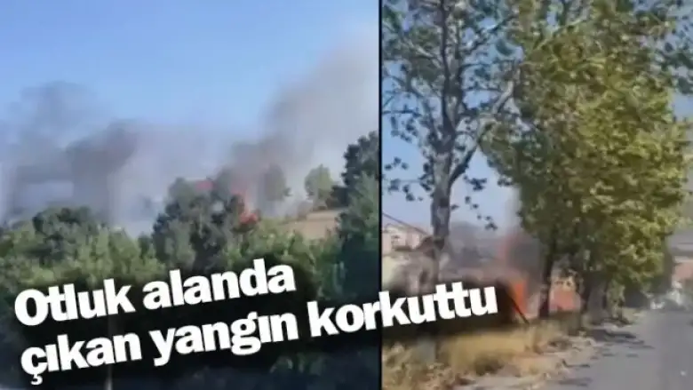 Otluk alanda çıkan yangın korkuttu