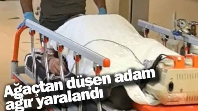 Ağaçtan düşen adam ağır yaralandı