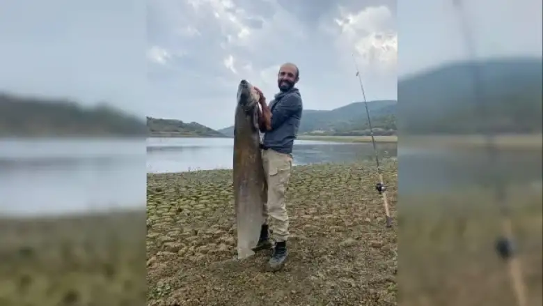 Dev yayın balığı görenleri şaşırttı