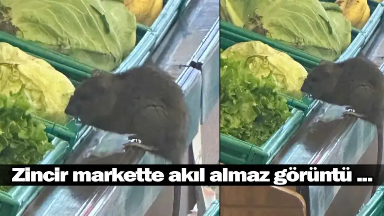 Zincir markette akıl almaz görüntü ...