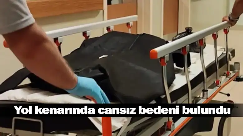 Yol kenarında cansız bedeni bulundu