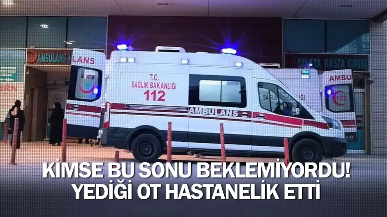 Kimse Bu Sonu Beklemiyordu! Yediği Ot Hastanelik Etti