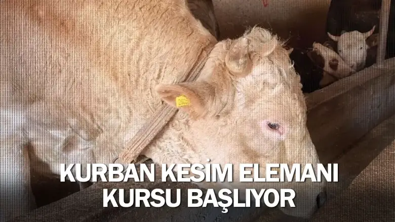 İnegöl’de Kurban Kesim Elemanı Kursu Başlıyor