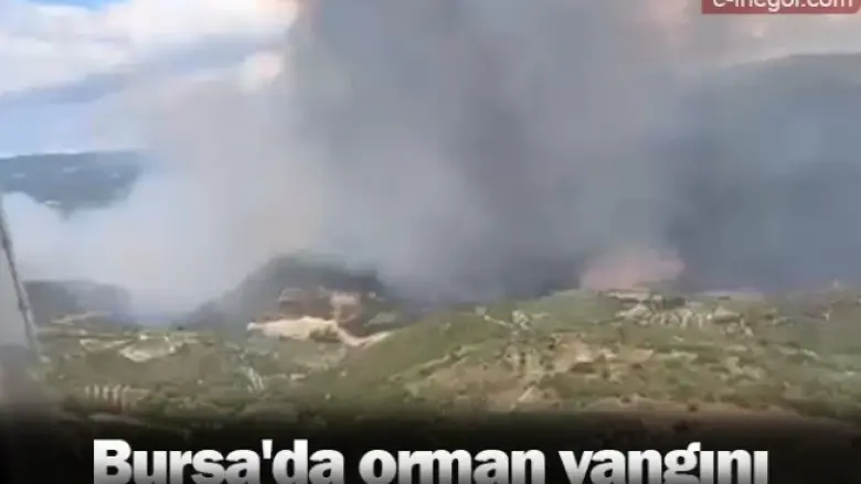 Bursa'da orman yangını