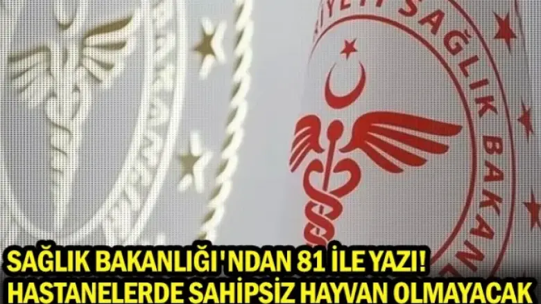 Sağlık Bakanlığı'ndan 81 ile yazı! Hastanelerde sahipsiz hayvan olmayacak