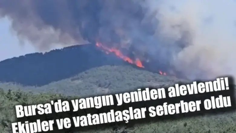 Bursa'da yangın yeniden alevlendi! Ekipler ve vatandaşlar seferber oldu