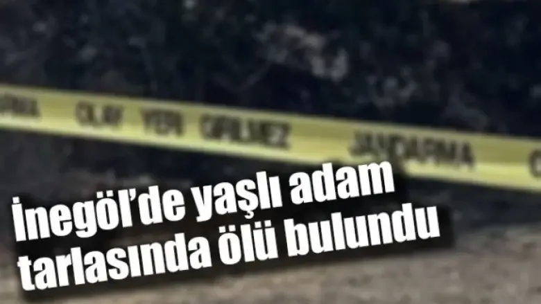 İnegöl'de yaşlı adam tarlasında ölü bulundu