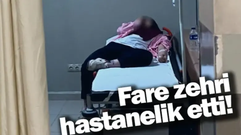 Fare zehri hastanelik etti!