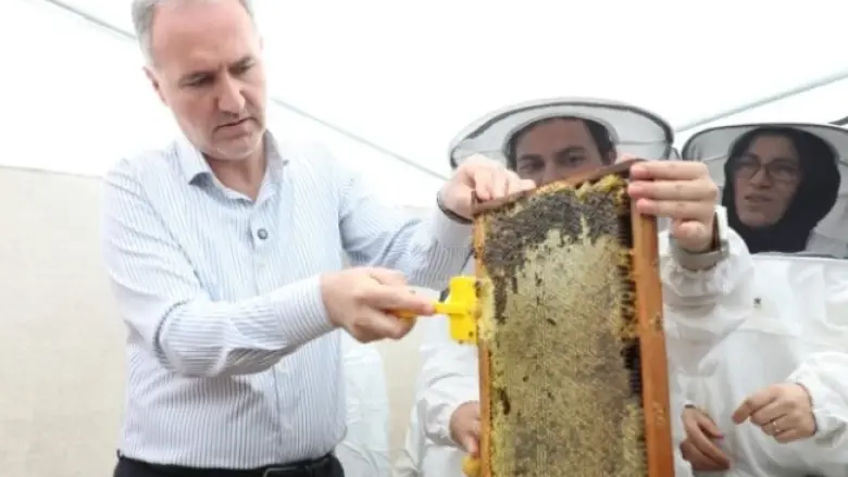 İnegöl Bal Üretiminde Kalitesiyle Dikkat Çekti