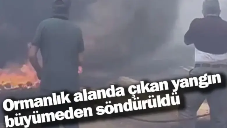 Ormanlık alanda çıkan yangın büyümeden söndürüldü