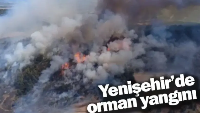 Yenişehir’de orman yangını