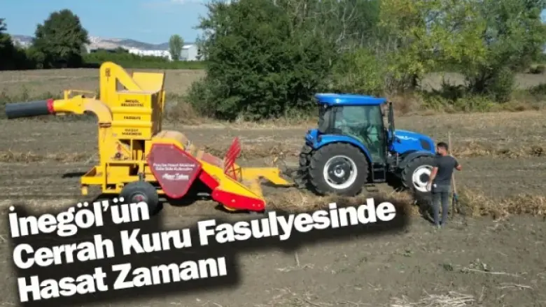 İnegöl’ün Cerrah Kuru Fasulyesinde Hasat Zamanı