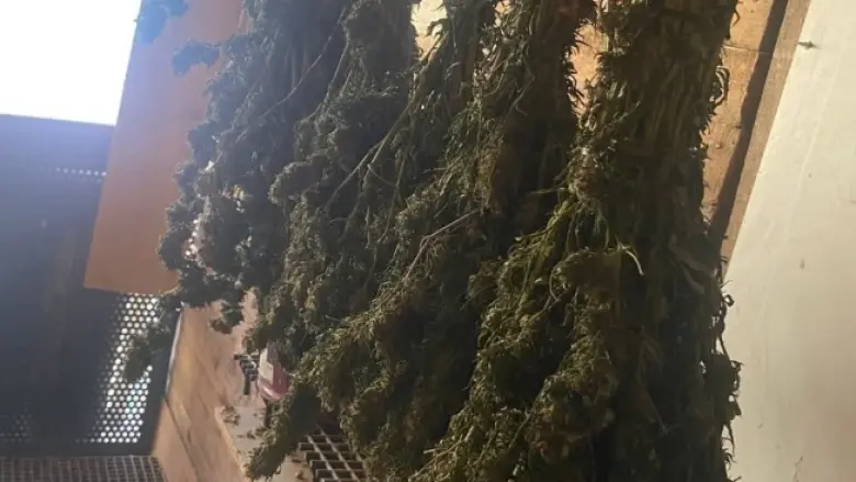 İnegöl'de jandarmadan zehir tacirlerine darbe