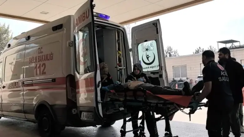 Ceviz toplamak için çıktığı ağaç sonu oldu