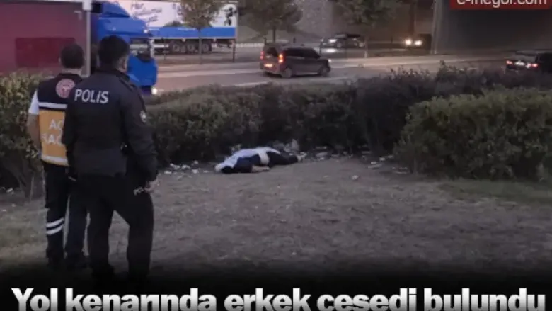 Yol kenarında erkek cesedi bulundu