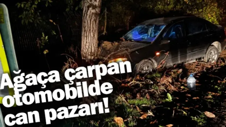Ağaça çarpan otomobilde can pazarı!