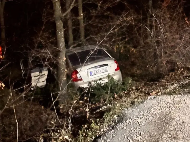 Agaçlık alana uçtu!