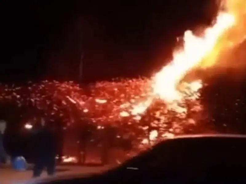 İnegöl'de alevler yükseldi