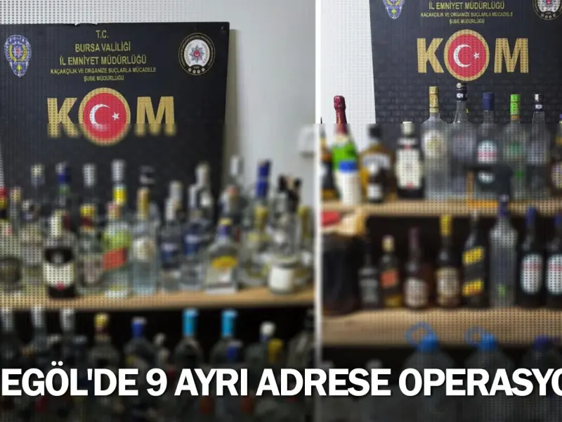 İnegöl'de 9 ayrı adrese operasyon