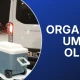 Organları umut oldu