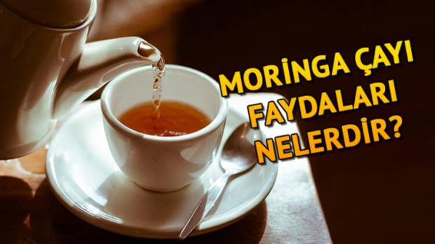 Moringa çayı nedir, mucize bitki moringa oleifera faydaları nelerdir?
