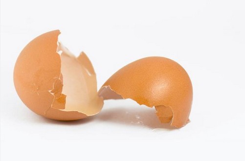 Yumurta kabuğu deyip geçmeyin! Faydaları saymakla bitmiyor!