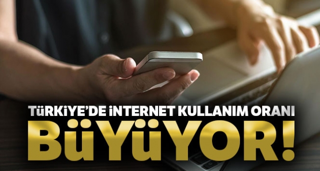 Türkiye’de internete erişim oranı yüzde 88 oldu