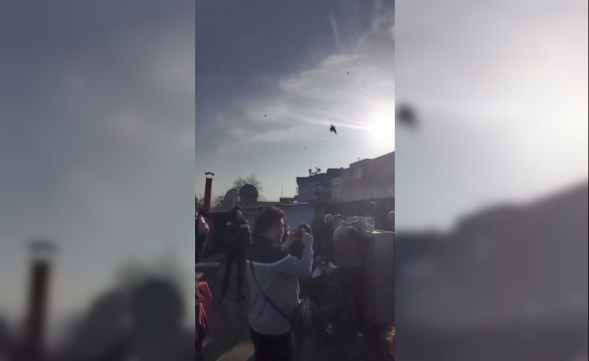 Bursa’da 500 güvercin gökyüzüne salındı