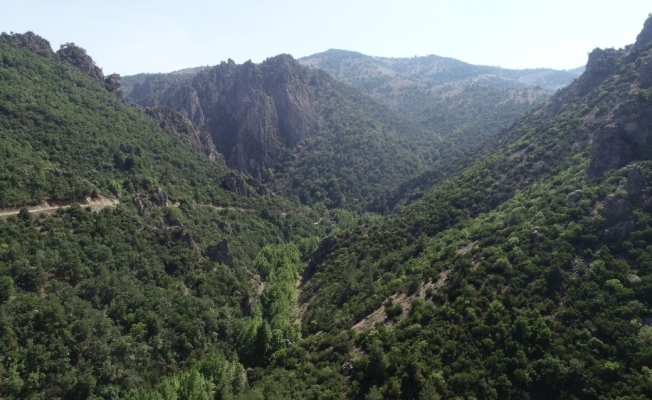 Bursa’nın tabiat harikası kanyonuna SİT düzenlemesi