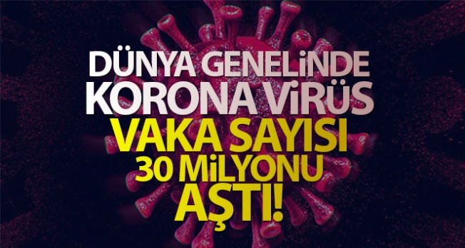 Dünya genelinde korona virüs vaka sayısı 30 milyonu aştı